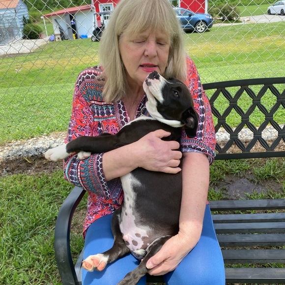 Meet your Posher, Sudie Poshlive - Picture 10 of 15